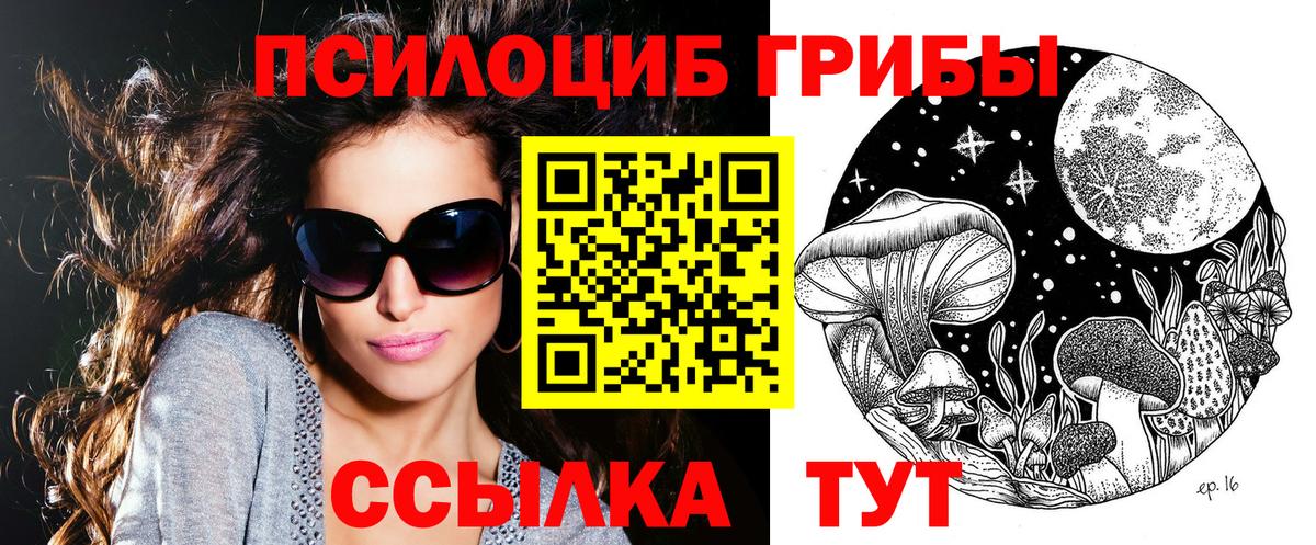 Псилоцибиновые грибы Psilocybe  наркошоп  Чапаевск  Вход с VPN 